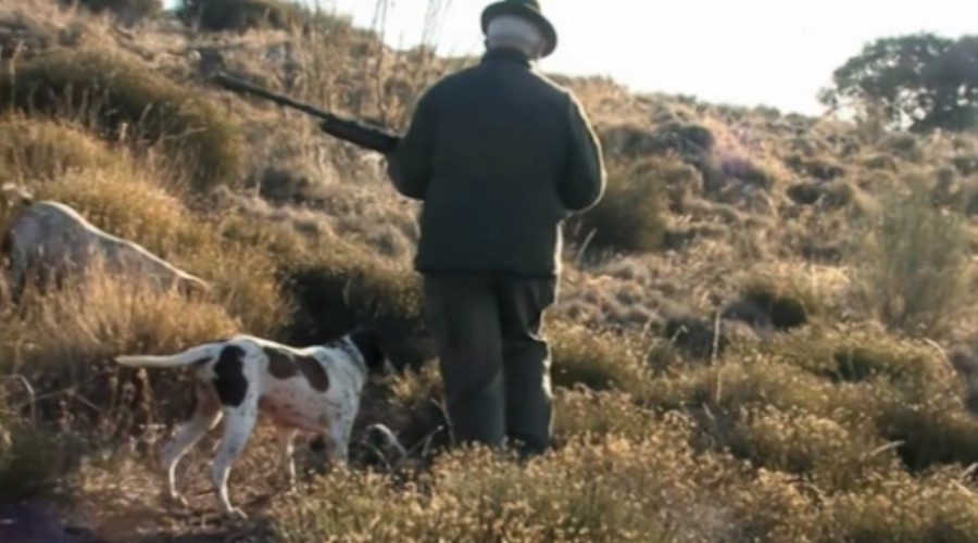 El Gobierno regional muestra su satisfacción ante la aprobación de la Ley de Bienestar Animal incluyendo la posición defendida por el presidente García-Page que excluye a los perros de caza
